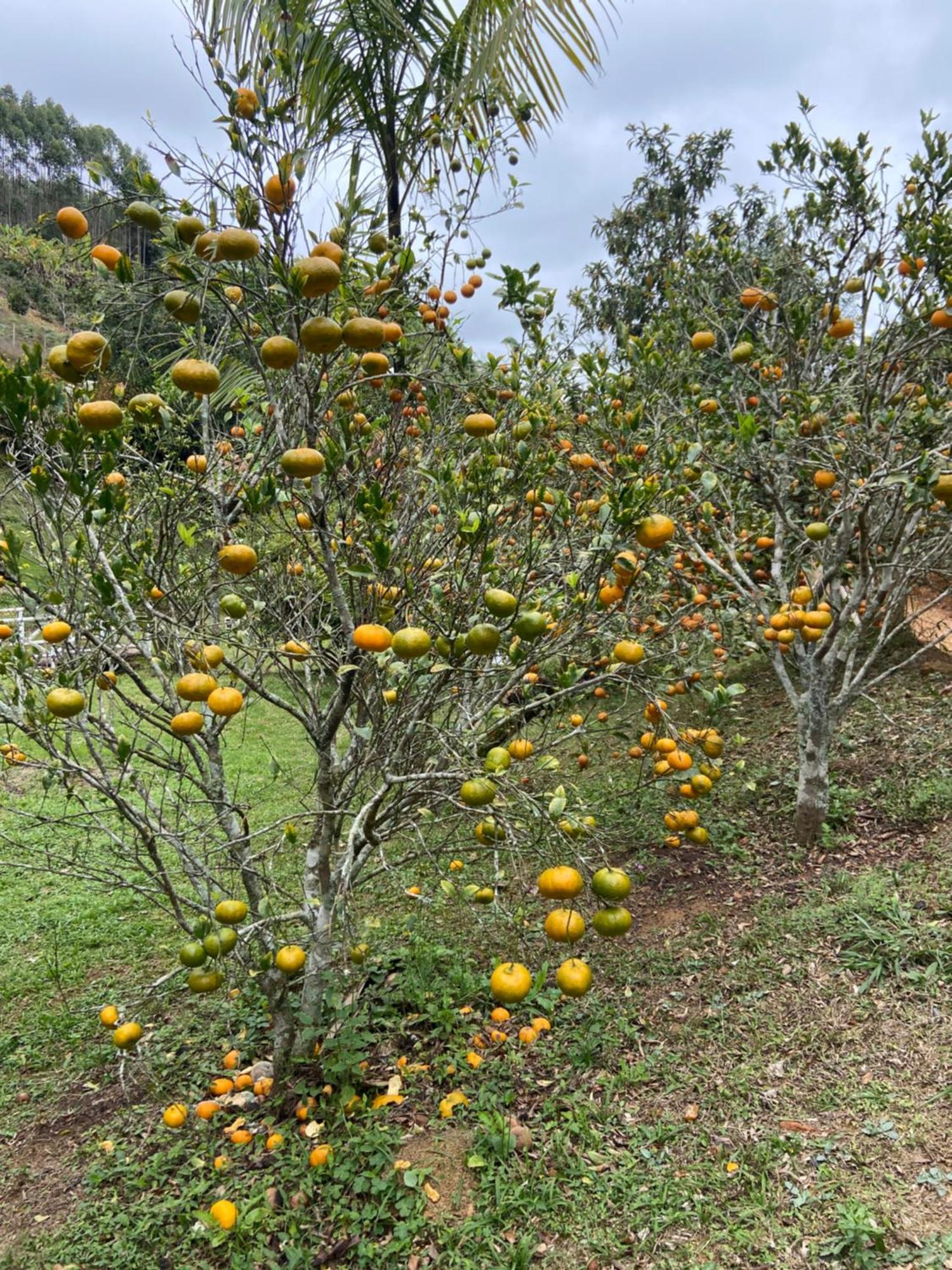 Chale Da Estancia Santa Teresa - Es Alto Sao Lourenco- Proximo Ao Circuito Caravaggio Zewnętrze zdjęcie